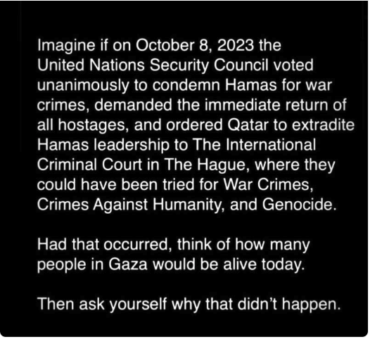 Imagine the UN did what it was supposed to